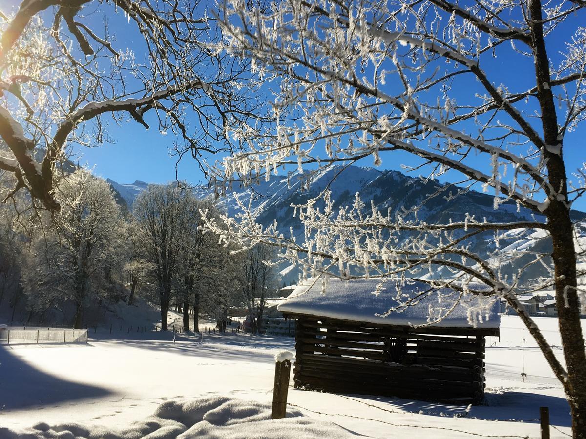 Johannahof Appartements Kaprun Exterior photo